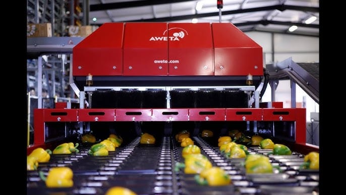 The Aweta Packing Line Sorter